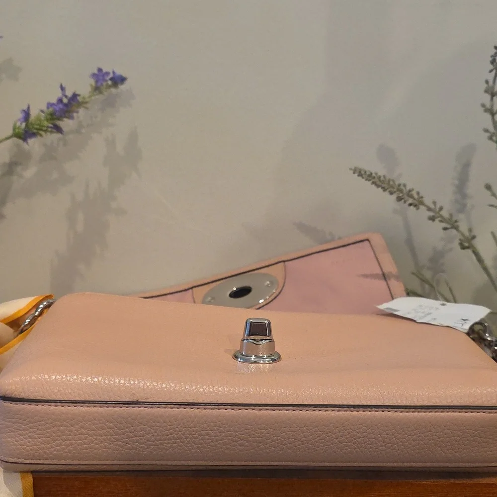 Coach polished pebble